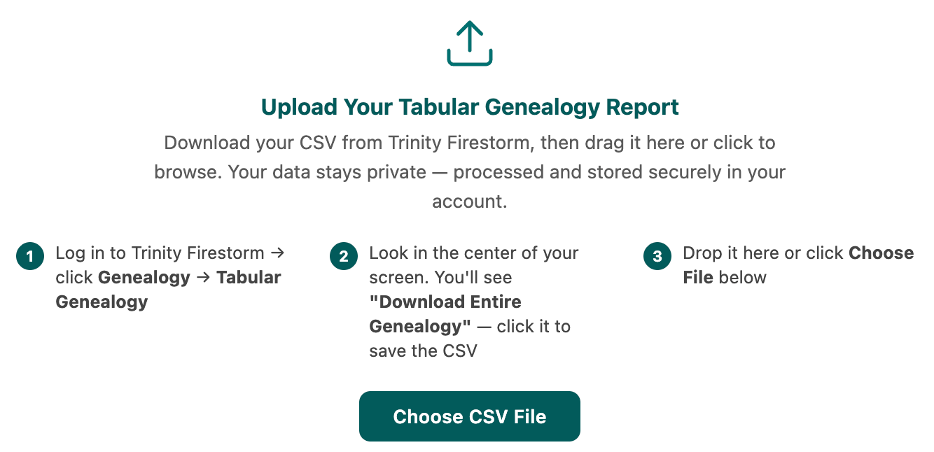 EllieMD Insights upload panel with three-step inline guide and Choose CSV File button